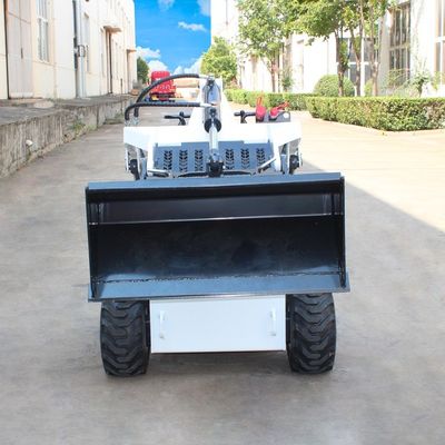 Versatile caricatore a rotaia per la rimozione della neve e lo spazzolino